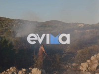 Εύβοια: Φωτιά τώρα στα Νέα