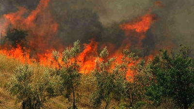 Πυρκαγιά στο δήμο Αρχανών -
