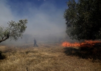 Υπό έλεγχο η πυρκαγιά στην