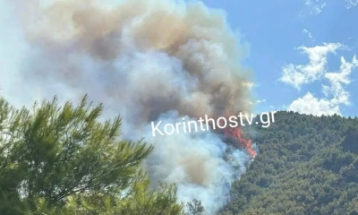 Φωτιά στο Ξυλόκαστρο - 183