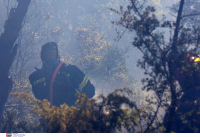 Πρέβεζα: Εμπρησμό πίσω από