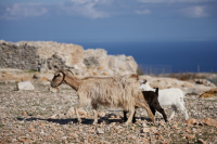 Με μετάθεση την πλήρωσε ο