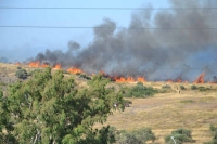 Ζάκυνθος: Μαίνεται η