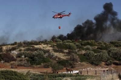 Πυρκαγιά σε δασική έκταση