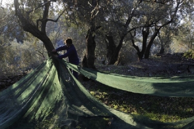 Σκοτώθηκε 62χρονη την ώρα