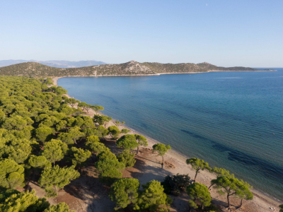 Σε αυτήν την παραλία της