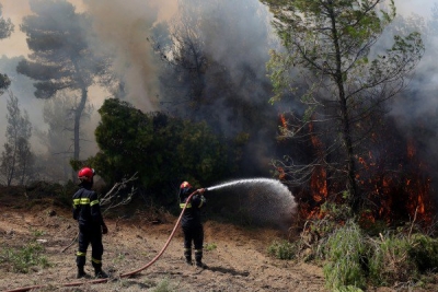 Ζάκυνθος: Πολύ κοντά στο