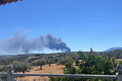 Φωτιά στη Ριτσώνα κοντά σε