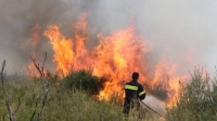 Φωτιά σε δασική έκταση στον