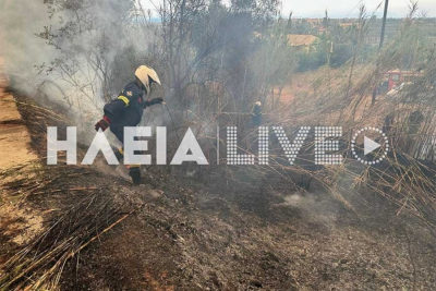 Ηλεία: Νέα φωτιά στο