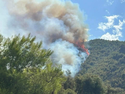 Φωτιά στο Ξυλόκαστρο -