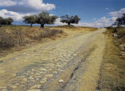 Δήμος Καβάλας: Συμμετοχή