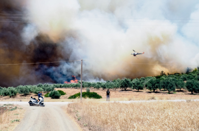 Φωτιά τώρα: Στη Ροδόπη η